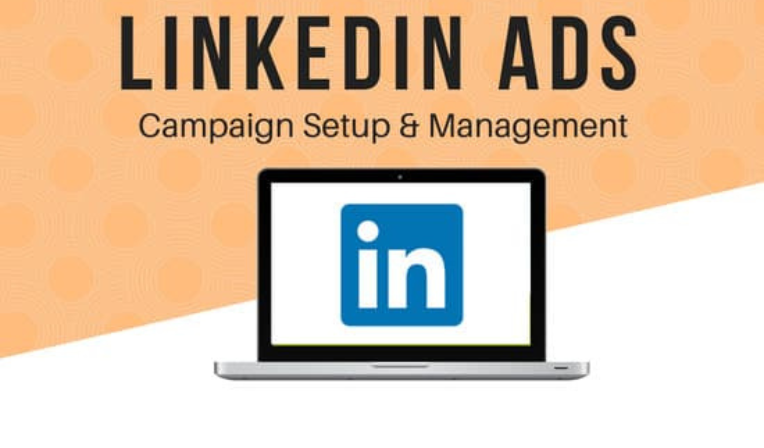 baccana-digital-consulting-paid-search-management-linkedin-ads