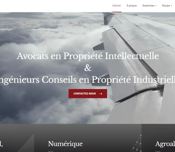 baccana-digital-consulting-projet-cabinet-junca-et-associes-toulouse-france
