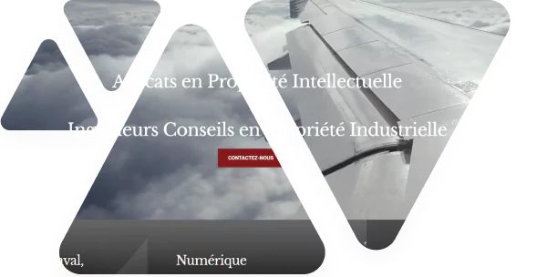 baccana-digital-consulting-projet-cabinet-junca-et-associes