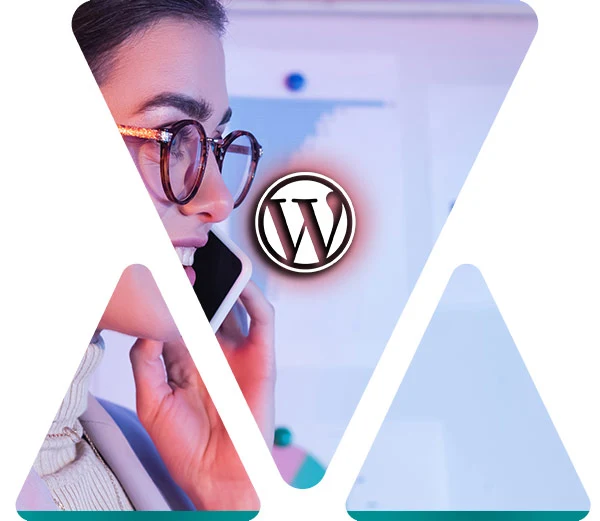 wordpress-woocommerce-technical-support