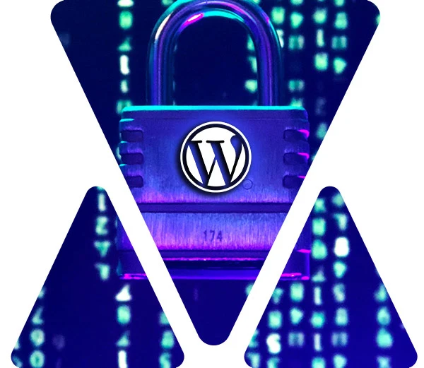 wordpress-website-data-security