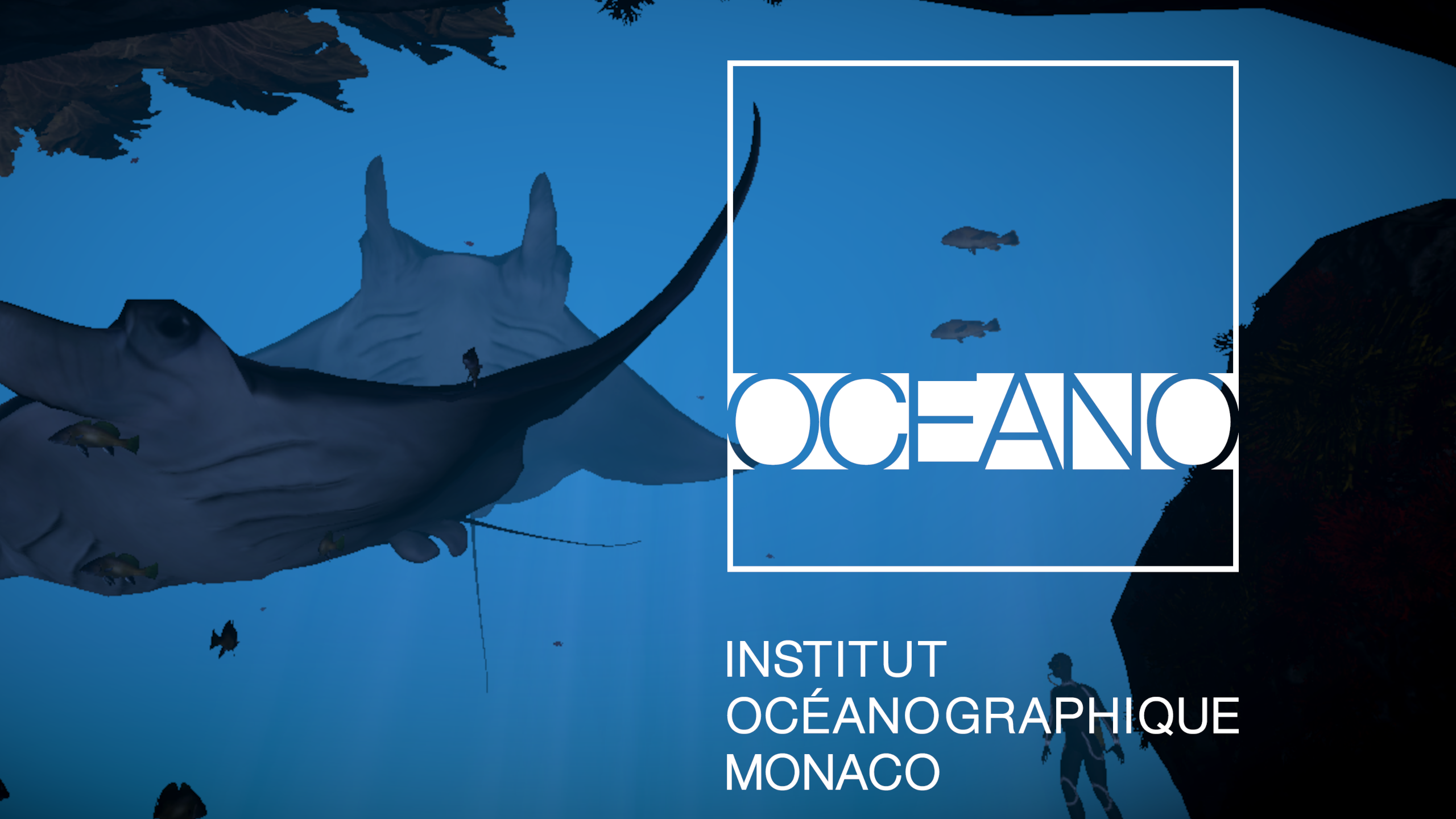 Immerseave-VR-experience-Oceanographic-museum-Baccana-Monaco-project-showcase